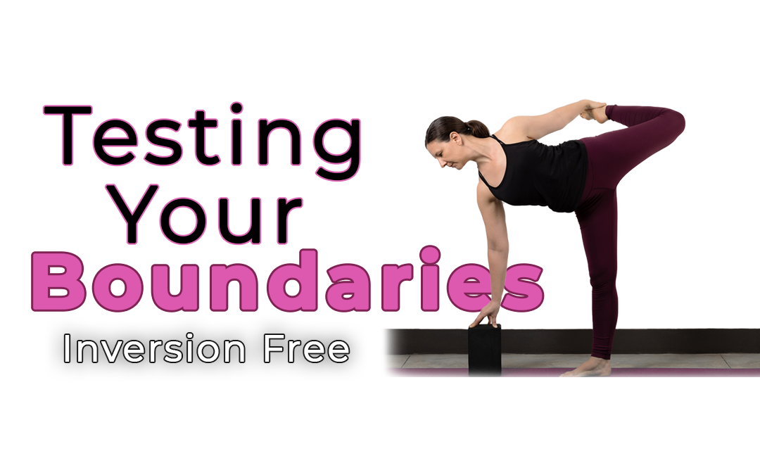 Testing Your Boundaries 65 min Inversion Free Vinyasa Flow