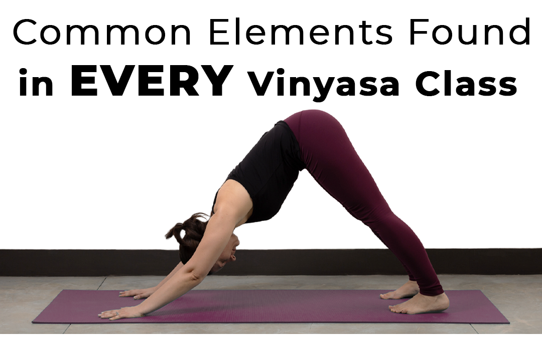 Common Elements Found in EVERY Vinyasa Class for Teachers