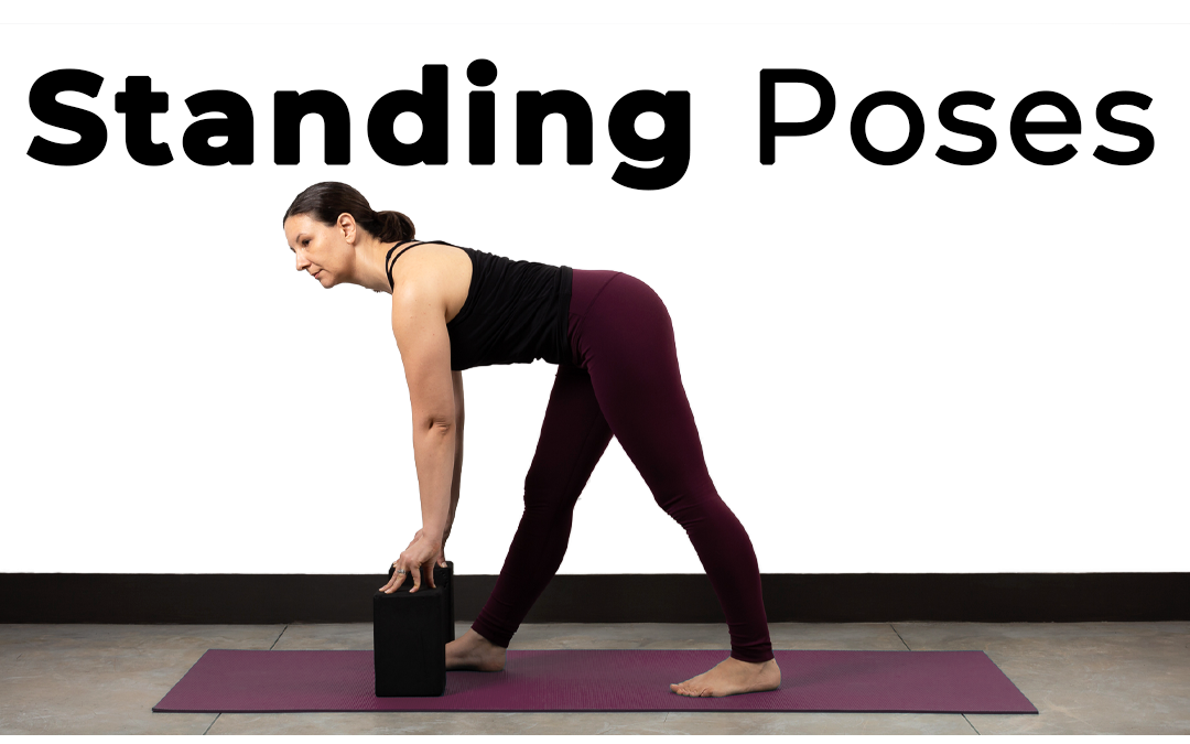 Standing Poses Modification Tutorials