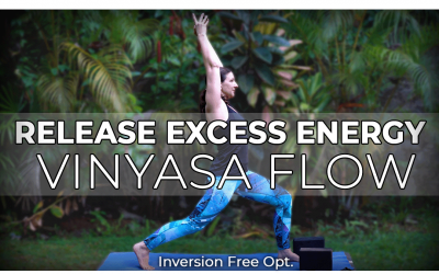 Release Excess Energy Vinyasa Flow