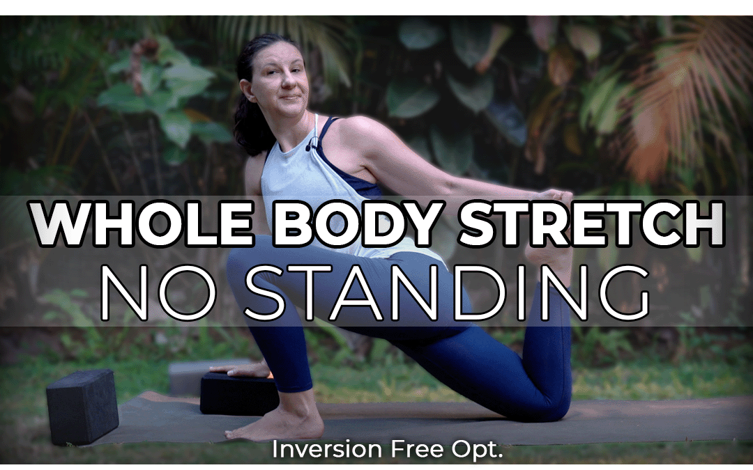 25 min Whole Body Stretch No Standing