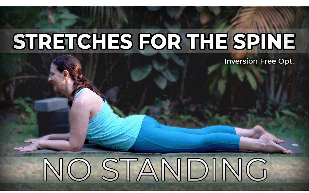 No Standing Stretches for the Spine