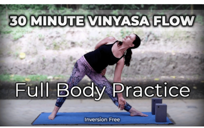 30 Minute Vinyasa Yoga Flow Full Body Practice