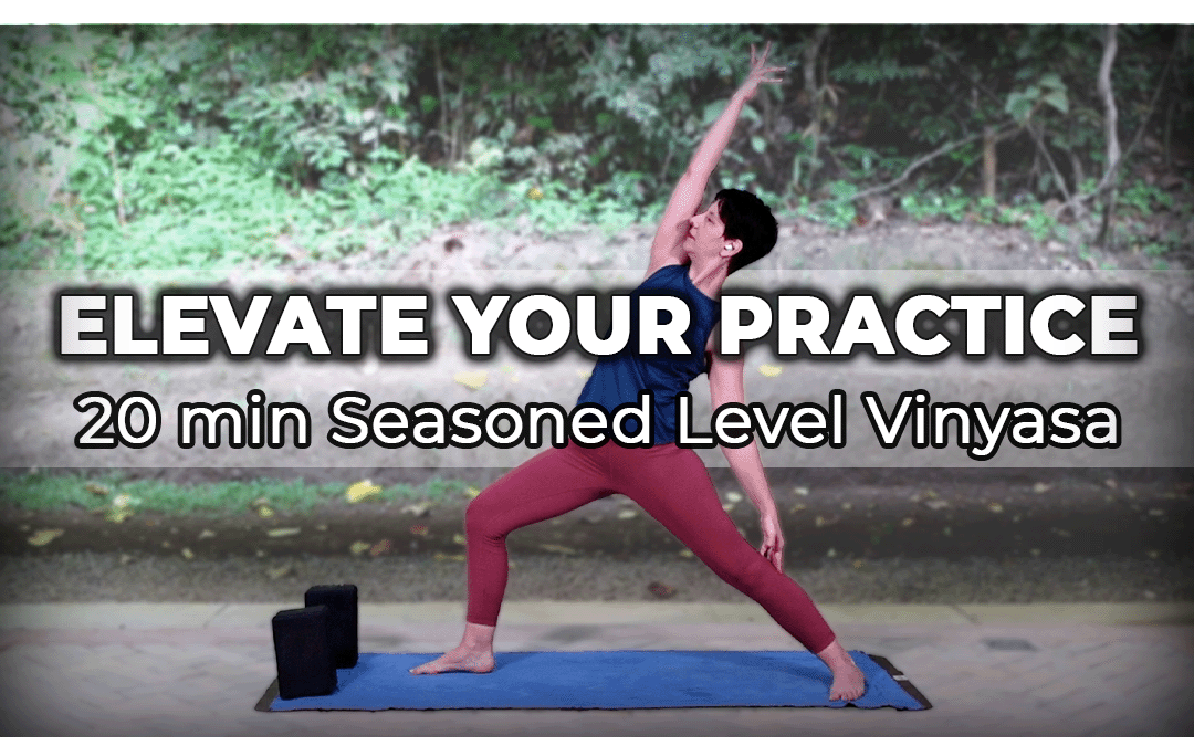 Elevate Your Practice – 20 min Seasoned Level Vinyasa