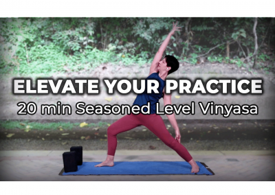 Elevate Your Practice – 20 min Seasoned Level Vinyasa