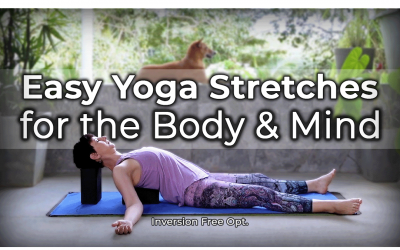 Easy Yoga Stretches for the Body and Mind