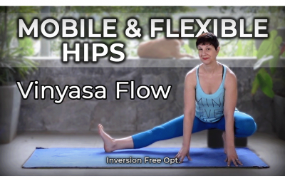 Work Your Hip Mobility and Flexibility