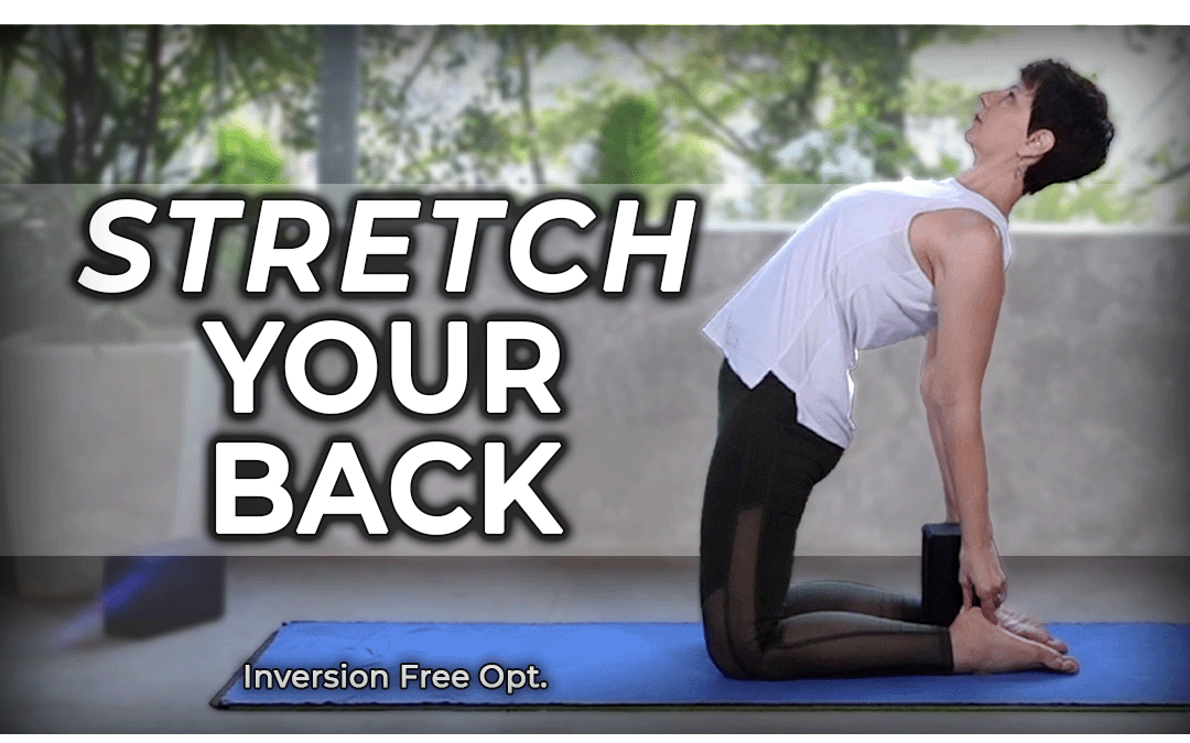 Yoga Stretches for Your Back