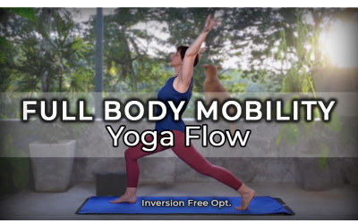 Full Body Mobility Yoga flow