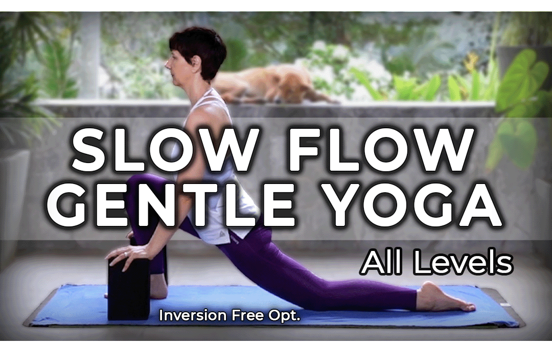 Slow Flow Gentle Yoga All Levels