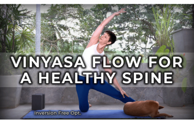 Vinyasa Flow for a Healthy Spine