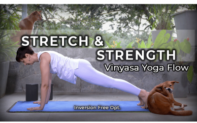 15 min Yoga Stretch and Strength Flow