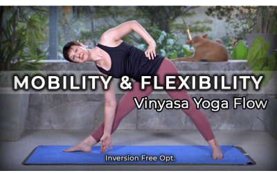 Vinyasa Flow for Mobility & Flexibility