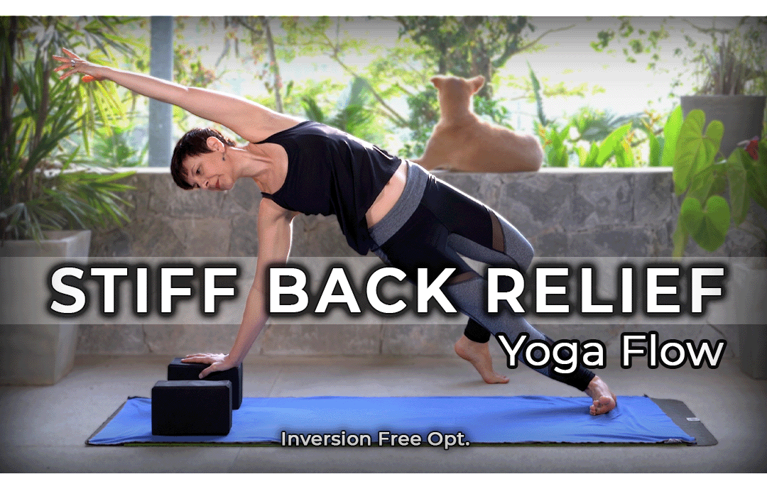 Stiff Back Relief Yoga Flow