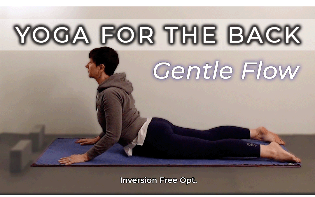 Gentle Yoga Flow for the Back