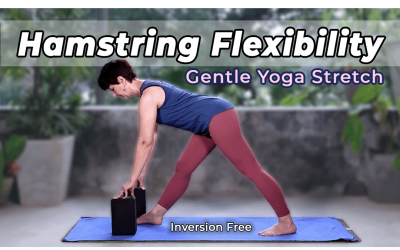 Focus on Hamstring Flexibility | Gentle Yoga Stretch
