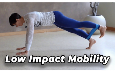 Low Impact Full Body Mobility & Strength Workout