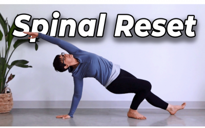 Full Body Spinal Mobility Flow