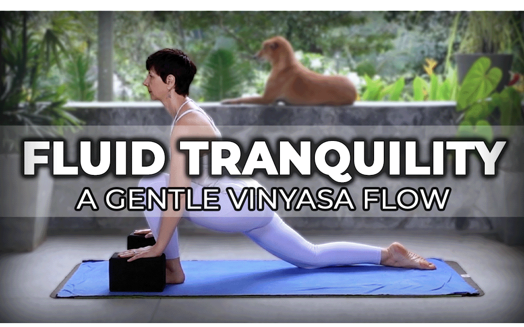 Fluid Tranquility, a Gentle Vinyasa Flow – 25 Min